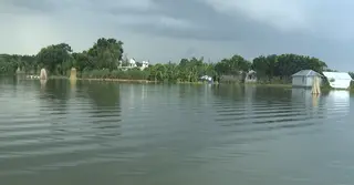 কুষ্টিয়ায় পদ্মার পানি বৃদ্ধি: পানিবন্দী ২০ হাজার পরিবার, ভাঙন ও দুর্ভোগ চরমে